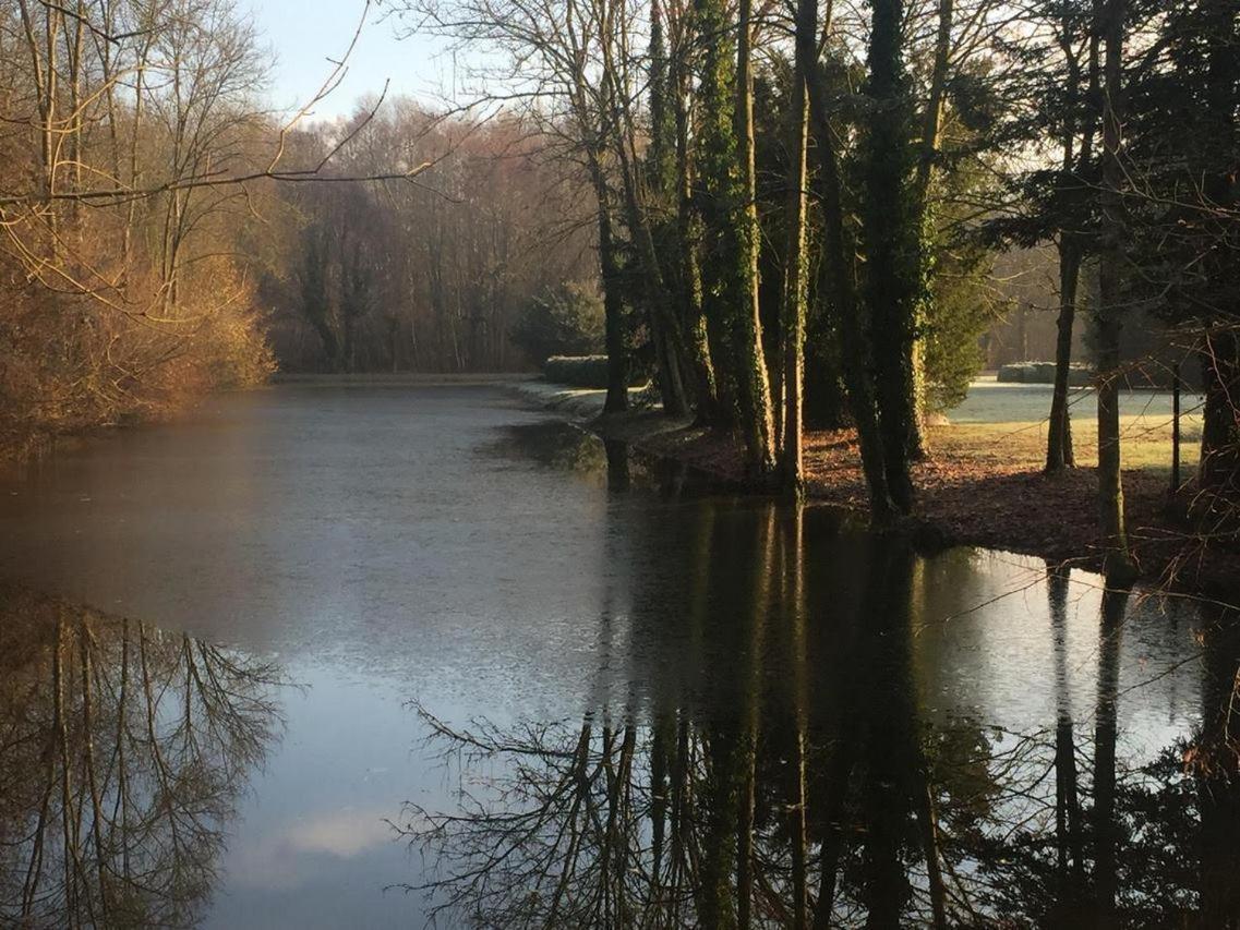 Chateau De Vitry-La-Ville 외부 사진